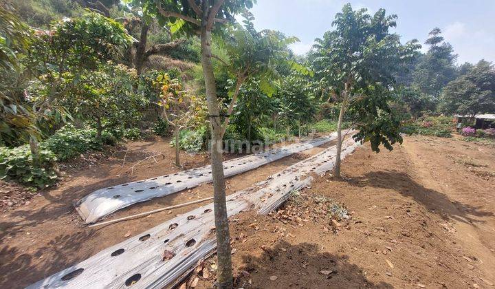 Tanah Siap Dibangun Mainroad Sersan Bajuri Bandung  2