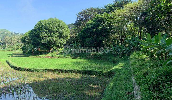 Tanah Dijual SHM di Cibinong Hilir, Cianjur Hanya 3km Atau 7 Menit Dari Pusat Kota Cianjur 2