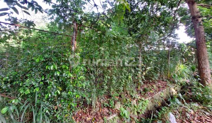 Tanah Persegi Panjang Sayap Ciumbuleuit