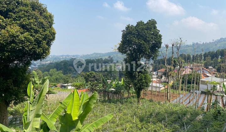 Tanah Kebun di Pageurmaneuh Punclut Lembang