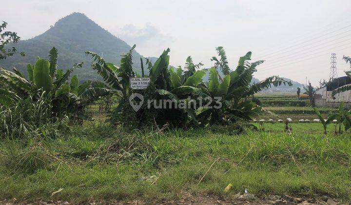 Tanah di Jelegong Cisaat 11486 m² SHM 4