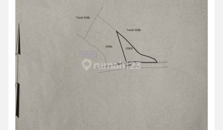 Land in Ubud 4 acres 2