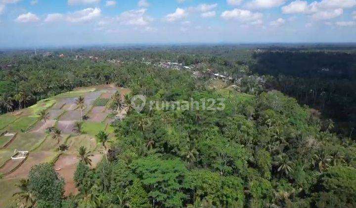 Land in Ubud 4 acres 1