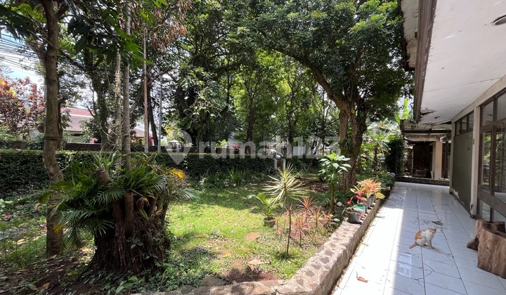 Jual Murah Rumah Hitung Tanah Di Sukajadi Shm