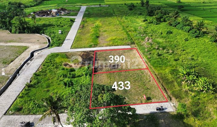 Ready to Build Land Plot in Kedungu Tabanan Cheap
