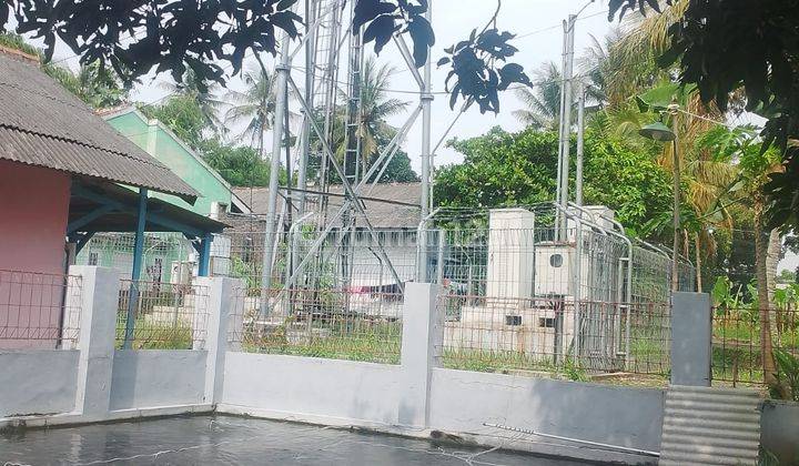 Rumah Di Cianjur Ada Kolam Ikan Hanya 295jt 2