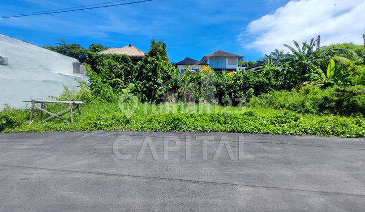 Best Deal Tanah Di Tibubeneng Canggu 300.0 M²