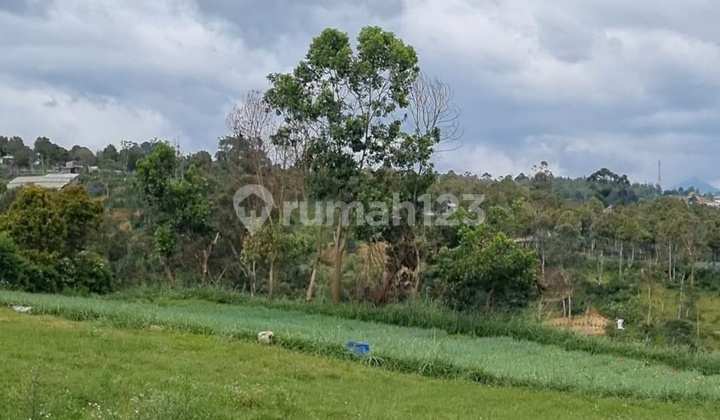 Tanah, di Lembang,7500M