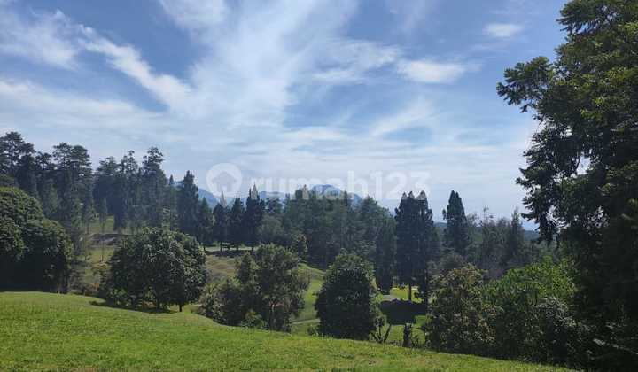 Turun Harga Tanah di Dago 15000M² View Golf Turun Harga Tanah di Dago 15000M² View Golf