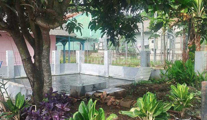 Rumah Di Cianjur Ada Kolam Ikan Hanya 295jt 1