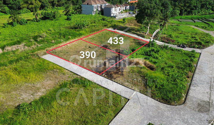 Kavling siap bangun di Kedungu Tabanan bali Kavling siap bangun di Kedungu Tabanan bali