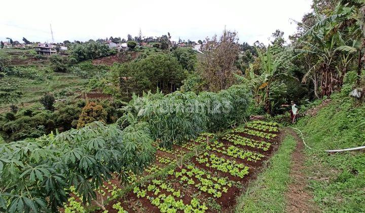 Dijual Tanah Cigugur Girang Parongpong 1
