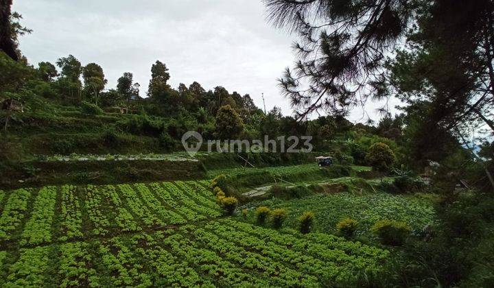 Dijual Tanah Cigugur Girang Parongpong 4