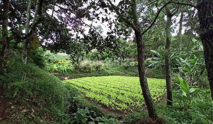 Dijual Tanah Cigugur Girang Parongpong 6