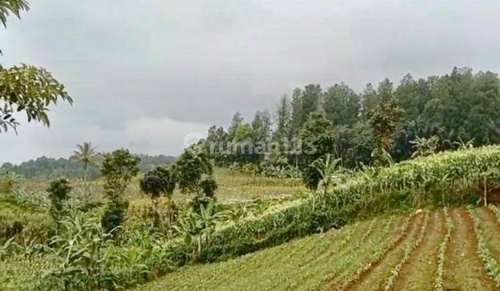 Dijual Tanah 19.085m2 Cocok Untuk Perkebunan Peternakan Sukabumi  1