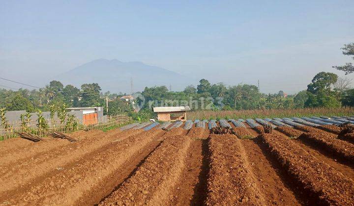 Tanah 1.4Ha Cocok Untuk Perkebunan di Caringin, Bogor Jawa Barat 2