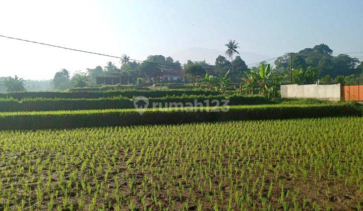 Tanah 1.4Ha Cocok Untuk Perkebunan di Caringin, Bogor Jawa Barat 1