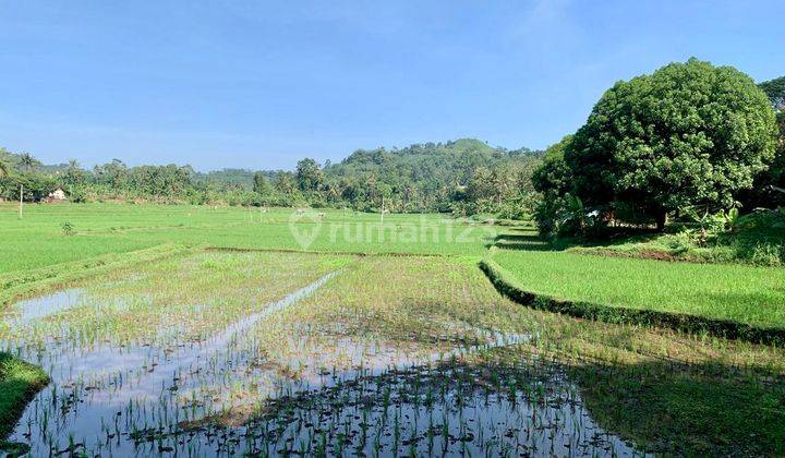 Tanah 27 Ha Cocok Untuk Perkebunan Argowisata di Cibinong,cianjur 1