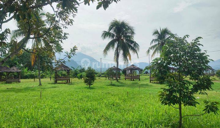 Tanah Murah dekat Jalan Provinsi View Pegunungan 2