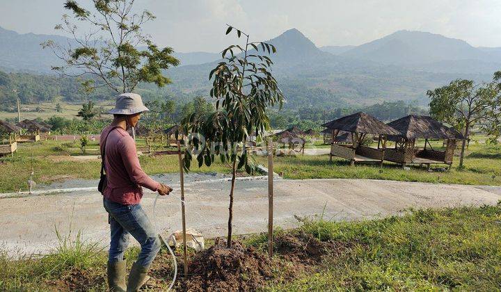 TANAH MURAH DEKAT JAKARTA VIEW GUNUNG  1