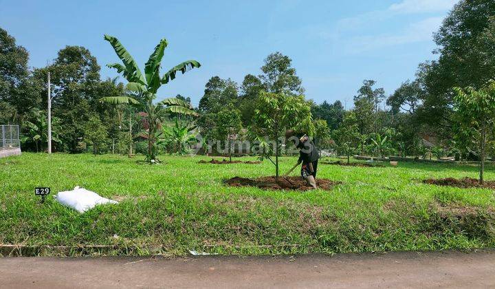 TANAH MURAH DEKAT JAKARTA VIEW GUNUNG  2