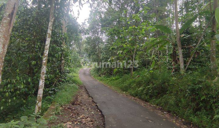 TANAH MURAH BONUS DURIAN DEKAT WISATA RIVER TUBING  2