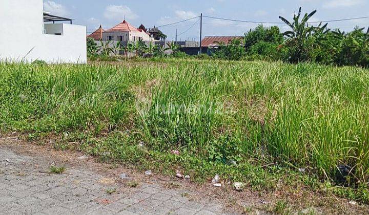 For Rent 2.6 Are Land in Villa Area @Kedungu, Tabanan 2