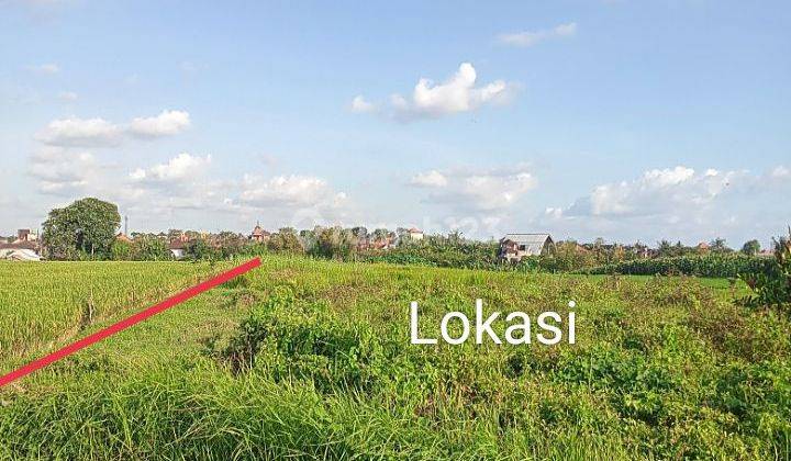 Land for sale 33 are @Yeh Gangga, Sudimara, Tabanan 2