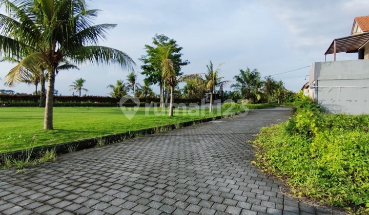 For Sale Land 15 Are River Side, Jungle View @yeh Gangga Tabanan