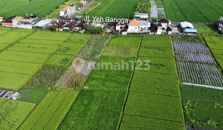 Dijual Tanah Cocok Kavling @yeh Gangga Tabanan 2