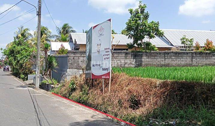 Land for sale 20are Matched Lot @ Gulingan, Mengwi, Bali 1