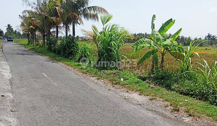 Land for sale suitable for plots @Yeh Gangga, Tabanan 2