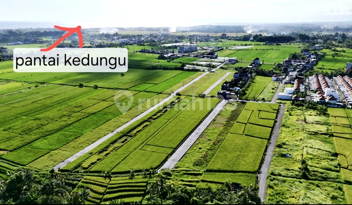 Dijual Tanah Kavling View Sawah @kedungu Tabanan