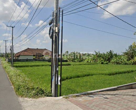 Dijual Tanah 25are @kedungu, Tabanan, Bali 2