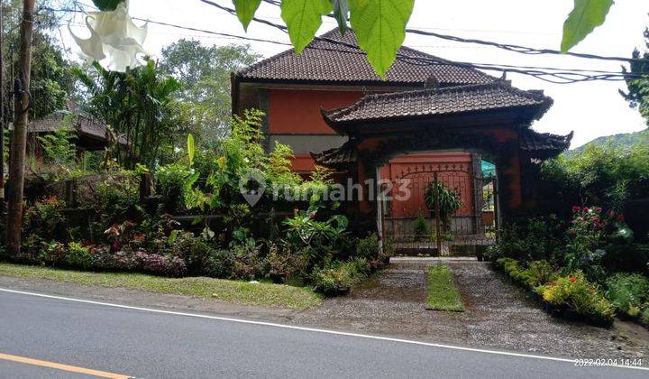 Dijual Tanah, Ada Bangunan di Jln.utama Bedugul 1