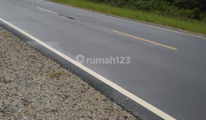 Dijual Tanah di Palangkaraya Kalimantan Tengah 1