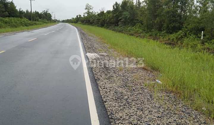 Dijual Tanah di Palangkaraya Kalimantan Tengah 2