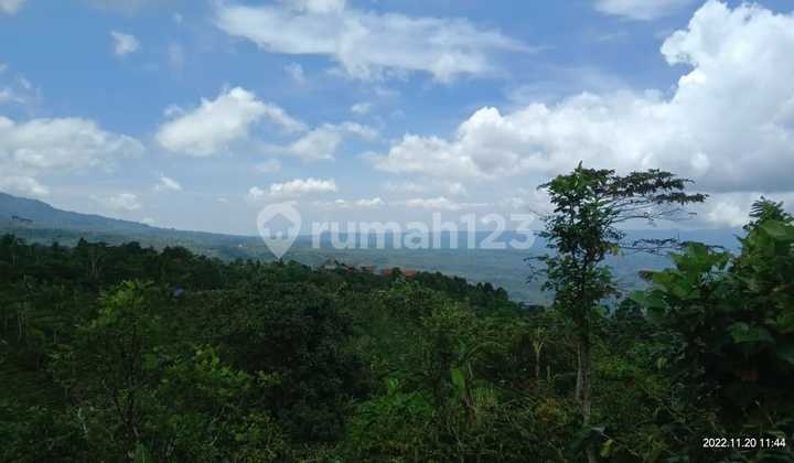 Dijual tanah view laut @munduk, buleleng, Bali 2