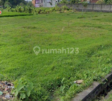 Dijual tanah 25are @kerobokan kaja, badung , Bali 2