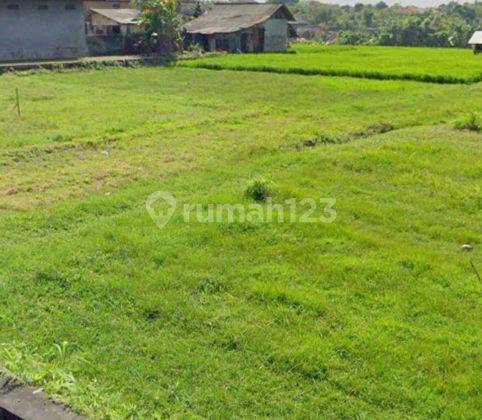 Dijual tanah 25are @kerobokan kaja, badung , Bali 3