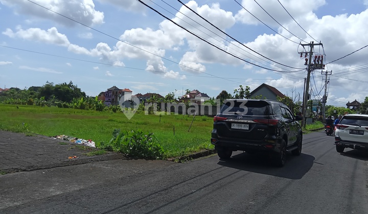 Dijual tanah 25are @kerobokan kaja, badung , Bali 14