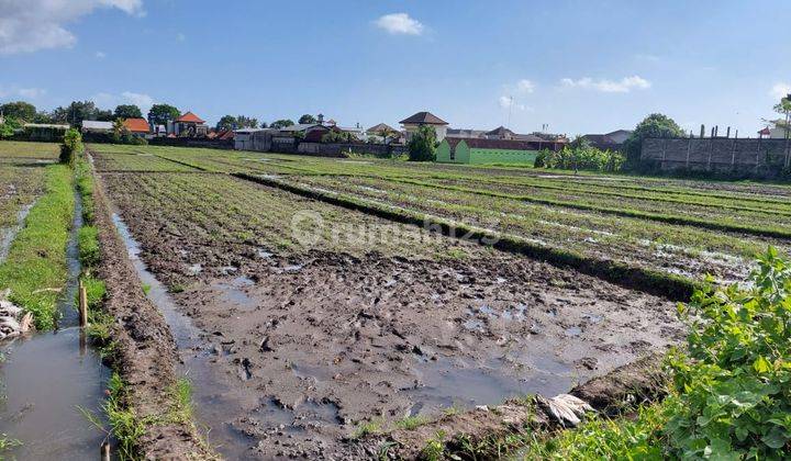 Dijual tanah 97 are @jl. Terminal mengwitani, badung, bali 2