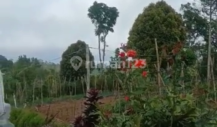 Dijual tanah 1,7ha @wanagiri, buleleng bali 4