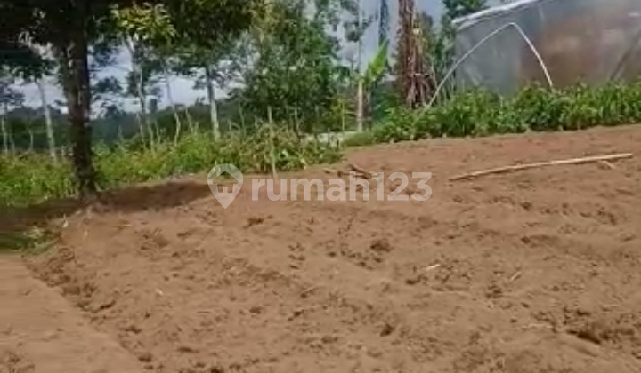 Dijual tanah 1,7ha @wanagiri, buleleng bali 5