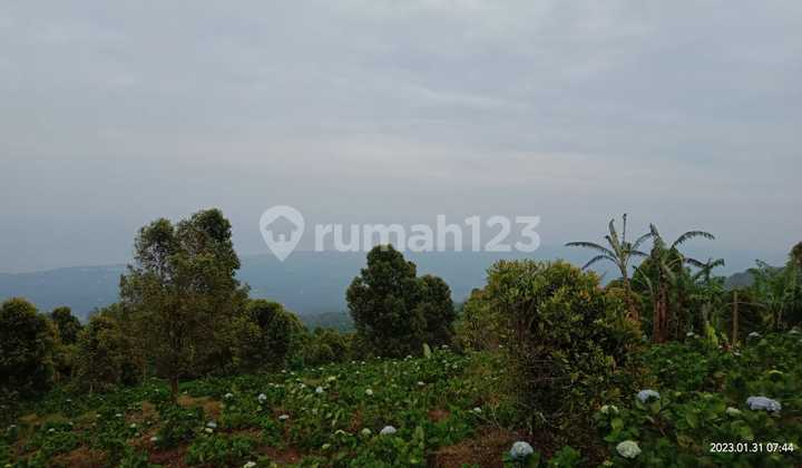 Dijual tanah 3ha full view laut @gobleg, buleleng, bali 2