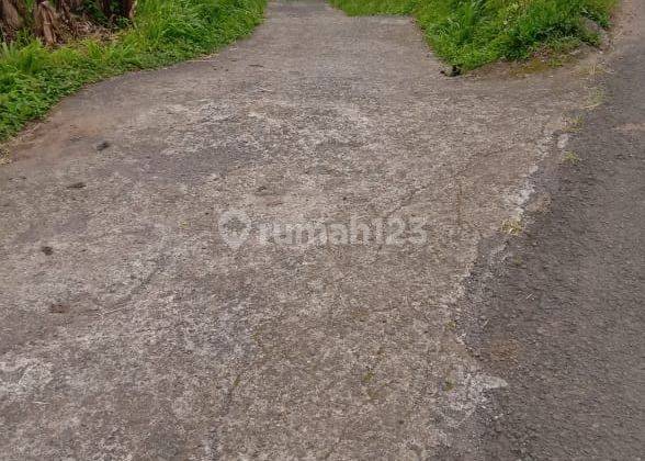 Dijual tanah 3ha full view laut @gobleg, buleleng, bali 5