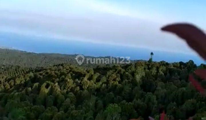Dijual tanah 1,44ha view laut @munduk, buleleng, Bali 1