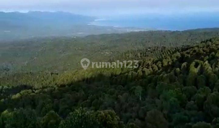 Dijual tanah 1,44ha view laut @munduk, buleleng, Bali 2