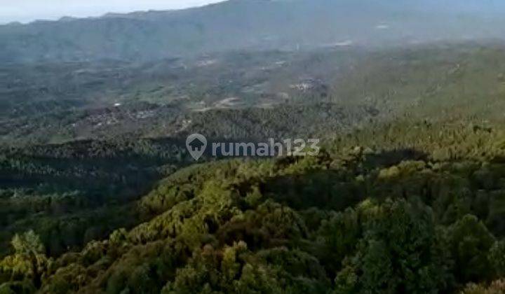 Dijual tanah 1,44ha view laut @munduk, buleleng, Bali 3