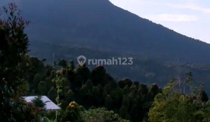 Dijual tanah 1,44ha view laut @munduk, buleleng, Bali 7